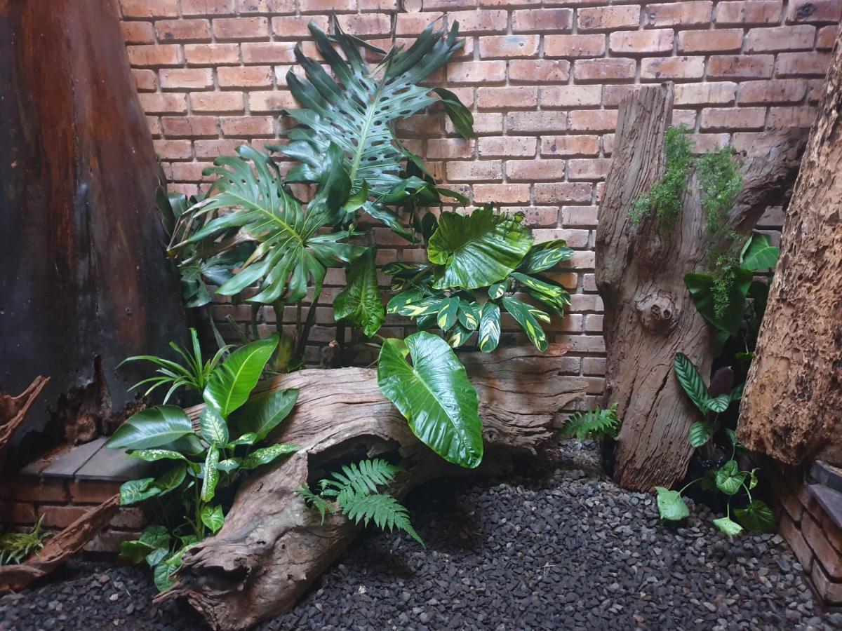 马洛布小屋 KwaMbonambi 外观 照片